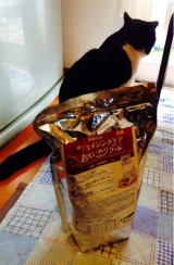 口コミ：猫ちゃんのエイジングケアに特化した　おもいやりフードをキラ君に食べさせましたーの画像（13枚目）