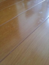 口コミ：【モニプラ】ガラスコートする床用洗剤の画像（3枚目）
