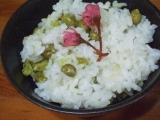 口コミ：豆ご飯と桜・・・☆の画像（1枚目）