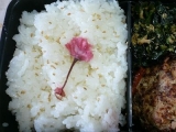 口コミ：お花見にオススメ！桜の花ごはんを作ってみました～☆海の精　桜の花塩漬け☆の画像（6枚目）