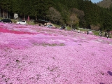 「毎日、自分以外のことに頑張る母。」の画像