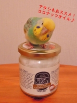 口コミ：モニプラ☆『日本初上陸！エキストラバージンココナッツオイル』の画像（1枚目）