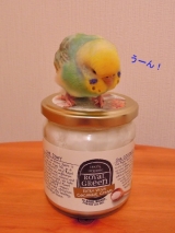 口コミ：モニプラ☆『日本初上陸！エキストラバージンココナッツオイル』の画像（10枚目）