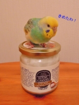 口コミ：モニプラ☆『日本初上陸！エキストラバージンココナッツオイル』の画像（9枚目）