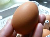口コミ：大江ノ郷自然牧場の1個100円の高級卵　「天美卵」　食べてみたよ～の画像（7枚目）
