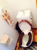 口コミ：トイレ内の除菌消臭洗剤のセット。（モニプラ）の画像（2枚目）