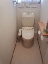 口コミ：トイレの除菌・消臭、壁のシミ抜き洗剤で雑菌をやっつけろ！！の画像（9枚目）