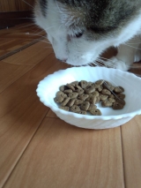 口コミ：愛猫の健康のために。。栄養とバランスの取れたキャットフードの画像（7枚目）