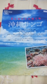 口コミ：沖縄サンゴで手軽にカルシウム「コーラルスター」の画像（4枚目）