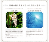 口コミ：沖縄生まれの自然派基礎化粧品ちゅらら　「クレンジングローションスペシャル」の画像（3枚目）