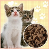 口コミ：【愛猫の健康のために。。栄養とバランスの取れたキャットフードのモニター募集】に当選しました(o^^o)の画像（9枚目）