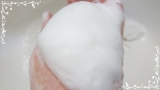 口コミ：京の優しい石鹸の画像（1枚目）