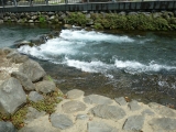 「富士の湧水」の画像（1枚目）