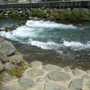 富士の湧水