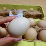 口コミ：美味しい！松本ファームの「烏骨鶏の卵」の画像（7枚目）