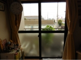 口コミ：【当選】＜kraso＞窓いっぱいのお花畑 花咲くウィンドウデコ 断熱シートの画像（16枚目）