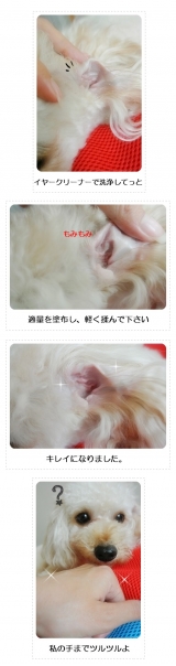 口コミ：ウィッシュ グルーミングプロ　犬猫用　イヤークリームの画像（1枚目）