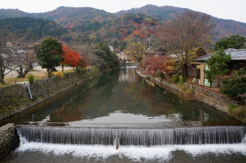 京都の秋の画像（1枚目）