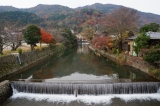 「京都の秋」の画像（1枚目）