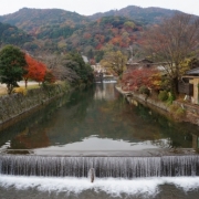 京都の秋