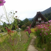 合掌造り☆白川郷