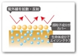 口コミ：ついにパウダーも100%天然由来 リソウ リペアフェイスパウダーの画像（5枚目）