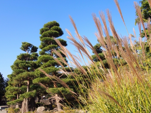 長野の秋の画像（1枚目）