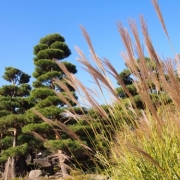 長野の秋