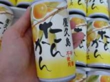 口コミ：屋久島産たんかん100％ジュース★美味しい！の画像（2枚目）