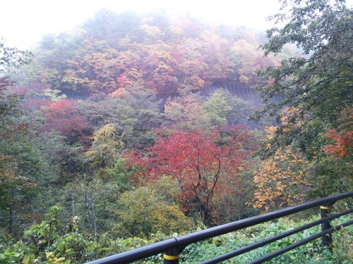 朝霧の秋の画像（1枚目）