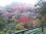 「朝霧の秋」の画像（1枚目）
