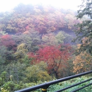 朝霧の秋