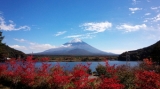 「富士さんと紅葉」の画像（1枚目）