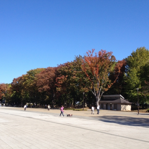 秋の上野公園の画像（1枚目）