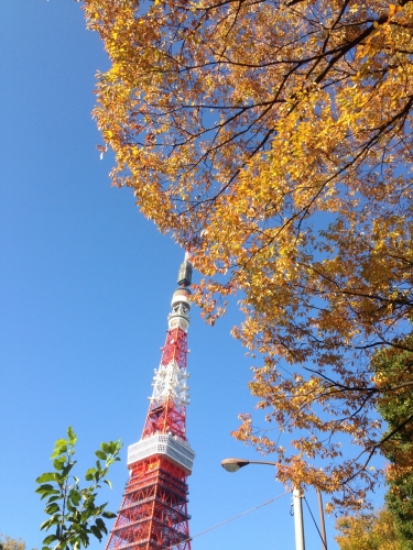 東京タワーと秋の気配の画像（1枚目）
