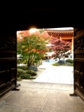 秋の増上寺