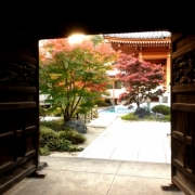 秋の増上寺