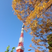 東京タワーと秋の気配