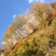秋空と紅葉