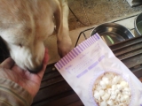 口コミ：【愛犬用おやつ】バター・食塩不使用！ポップコーン　モニター報告 U・エ・Uの画像（3枚目）