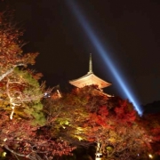 夜に浮かぶ清水寺