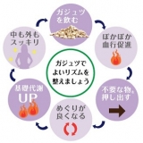 口コミ：☆　屋久島の伝統の紫ウコン「ガジュツ」でお腹スッキリ　☆の画像（7枚目）