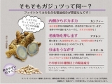 口コミ：☆　屋久島の伝統の紫ウコン「ガジュツ」でお腹スッキリ　☆の画像（4枚目）