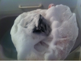 口コミ：大村湾漁協の黒なまこ石鹸の画像（1枚目）