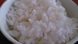 口コミ：おいしいお米はそれだけで十分！の画像（3枚目）