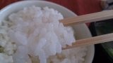 口コミ：おいしいお米はそれだけで十分！の画像（2枚目）