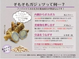口コミ：屋久島のウコンand食育知育にお菓子作りの画像（1枚目）
