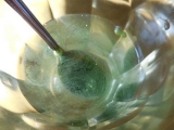 口コミ：有機JAS認定オーガニック青汁 「桑の葉粉末」の画像（3枚目）