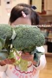 「沖縄県から野菜が届きました。」の画像