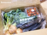 沖縄県産無農薬野菜ボックスの画像（1枚目）